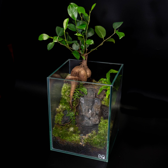 ガネーシャ石像（fromバリ島）のパルダリウム【現品１点もの】                                     神秘のパワースポット・バリ島から輸入した縁起のよい神様｢ガ SKC1960971275(14900円)