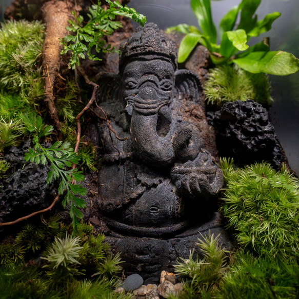ガネーシャ石像（fromバリ島）のパルダリウム【現品１点もの】                                     神秘のパワースポット・バリ島から輸入した縁起のよい神様｢ガ SKC1960971275(14900円)