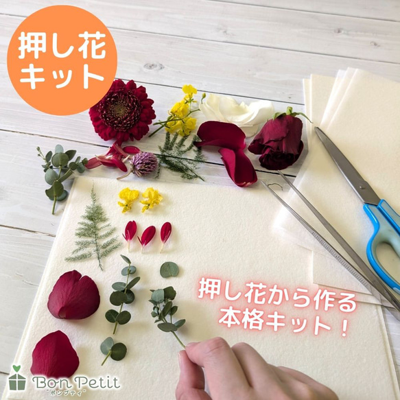 押し花キット 押し花 フォトフレーム 蝶 鳥 手作りキット 押し花キット 押し花 フォトフレーム 蝶 鳥 手作りキット