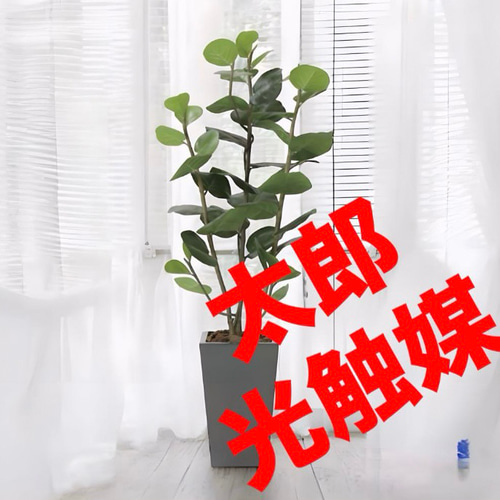 光触媒　人工観葉植物　ウォールグリーン　アーバンシーグレープ1.35 光触媒 人工観葉植物 ウォールグリーン アーバンシーグレープ