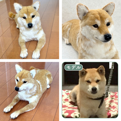 羊毛フェルト【オーダーメイド】うちの子オーダー✴︎犬✴︎愛犬 羊毛フェルト【オーダーメイド】うちの子オーダー✴︎犬✴︎愛犬