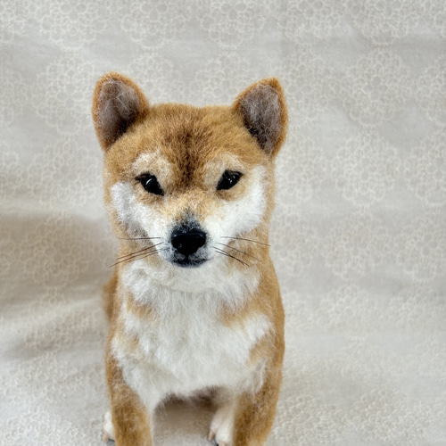 羊毛フェルト【オーダーメイド】うちの子オーダー✴︎犬✴︎愛犬