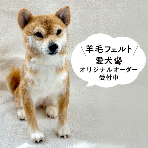 羊毛フェルト【オーダーメイド】うちの子オーダー✴︎犬✴︎愛犬 羊毛フェルト【オーダーメイド】うちの子オーダー✴︎犬✴︎愛犬