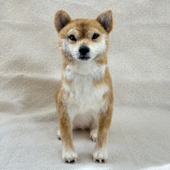 柴犬 羊毛フェルト ハンドメイド No.35 - メルカリ