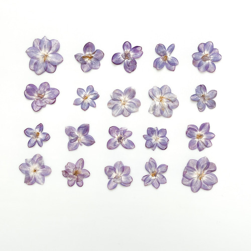 再販【押し花】ライラック（八重咲き）20輪 素材 花材 レジン