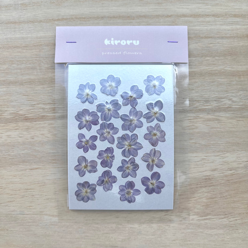 再販【押し花】ライラック（八重咲き）20輪 素材 花材 レジン