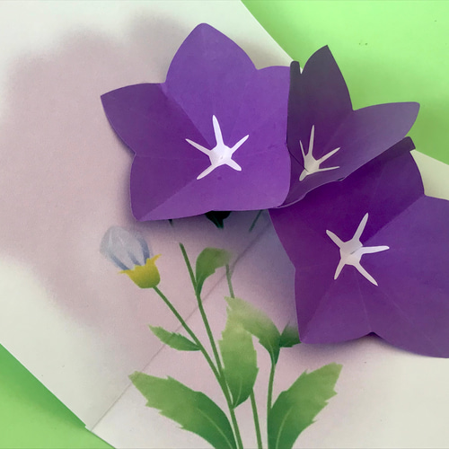 桔梗カードリザードンex SAR ニンフィアex SAR エリカの招待 SAR