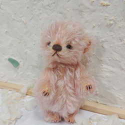 定形外送料無料】アルパカラティニティの肉球ベア テディベア