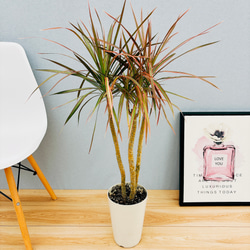 d5907aadf800e2e35e039e4a8ba789