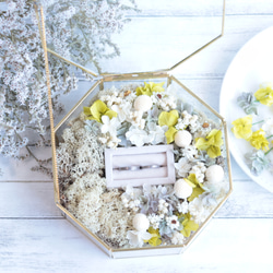 【貴重】オラフ アクセサリーケース 兜ケース飾り 銘木シリーズ 檜 アクリルケース オルゴール付 3G