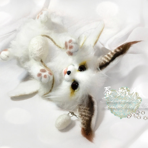 蚕蛾狐 カイコガ+ブランフォードフォックス（アルビノ）狐 フェネック