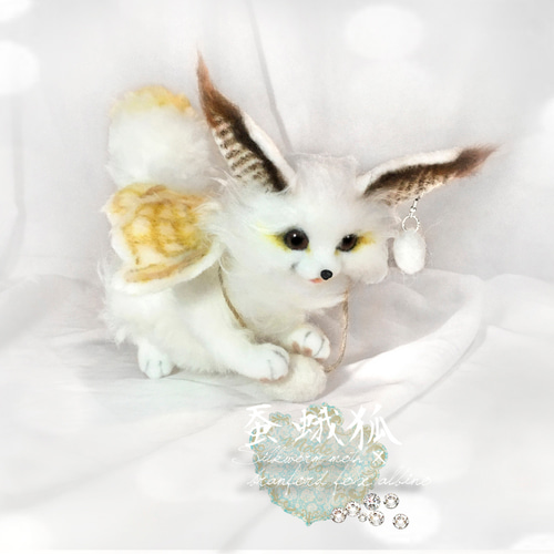 蚕蛾狐 カイコガ+ブランフォードフォックス（アルビノ）狐 フェネック