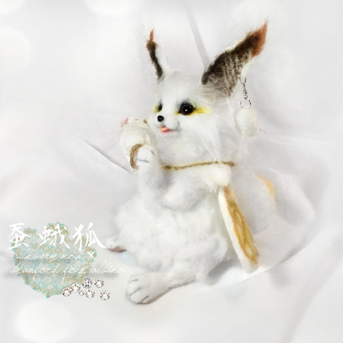 蚕蛾狐 カイコガ+ブランフォードフォックス（アルビノ）狐 フェネック