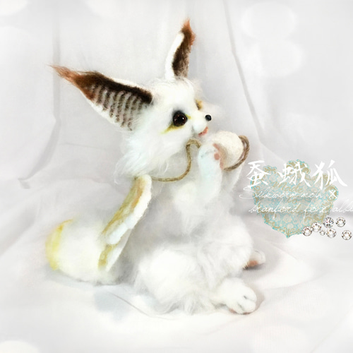 蚕蛾狐 カイコガ+ブランフォードフォックス（アルビノ）狐 フェネック