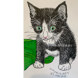絵/絵画/A5/原画/手書き/ペン画/アクリル画/猫/ハチワレ/仔猫