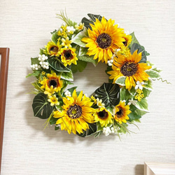 2026(早割)ミモザのドライフラワーリース (約26センチ) ドライフラワー