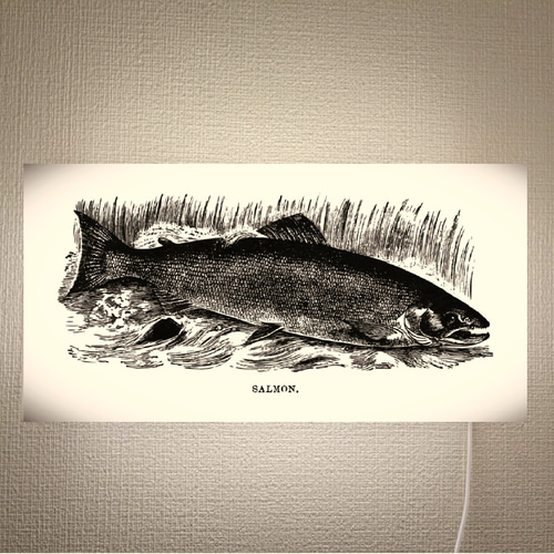 魚拓 鮭 トラウト サーモン 釣り フィッシング 看板 置物 雑貨
