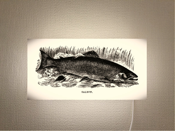 魚拓 鮭 トラウト サーモン 釣り フィッシング 看板 置物 雑貨 ライトBOX 魚拓 鮭 トラウト サーモン 釣り フィッシング 看板 置物 雑貨