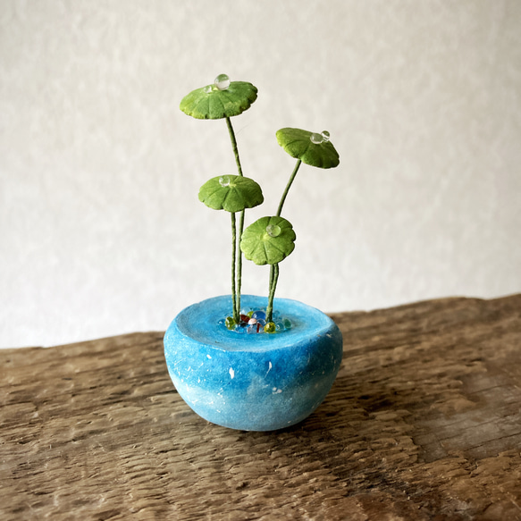 8897.bud 粘土の鉢植え ウォーターマッシュルーム 5枚目の画像