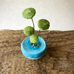 8897.bud 粘土の鉢植え ウォーターマッシュルーム 3枚目の画像