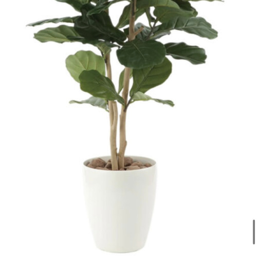 光触媒 人工観葉植物 ウォールグリーン フェイクグリーン カシワバゴム