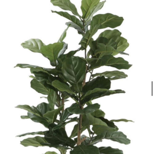 光触媒 人工観葉植物 ウォールグリーン フェイクグリーン カシワバゴム