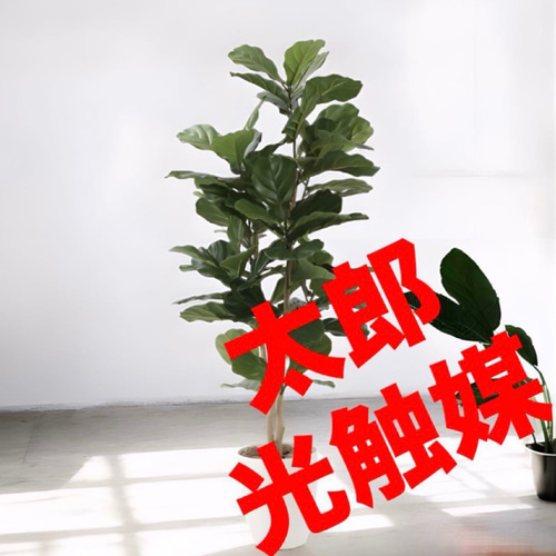 光触媒人工観葉植物ウォールグリーンフェイクグリーン黒竹1.35m