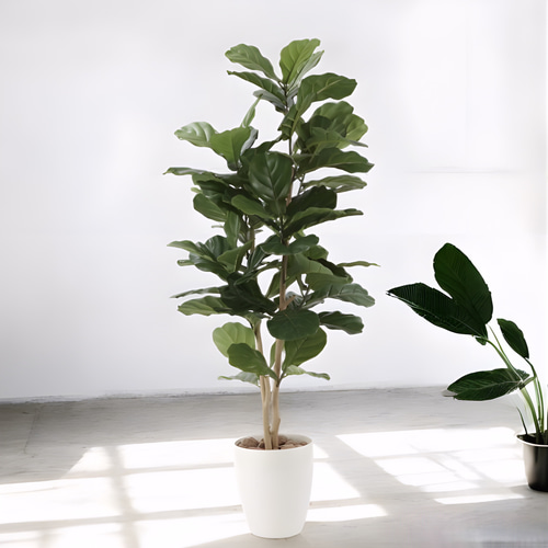 光触媒 人工観葉植物 ウォールグリーン フェイクグリーン カシワバゴム