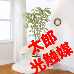 光触媒人工観葉植物ウォールグリーンフェイクグリーンローレル