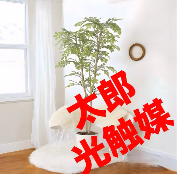 光の楽園 光触媒 人工観葉植物 ウォールグリーン フェイク
