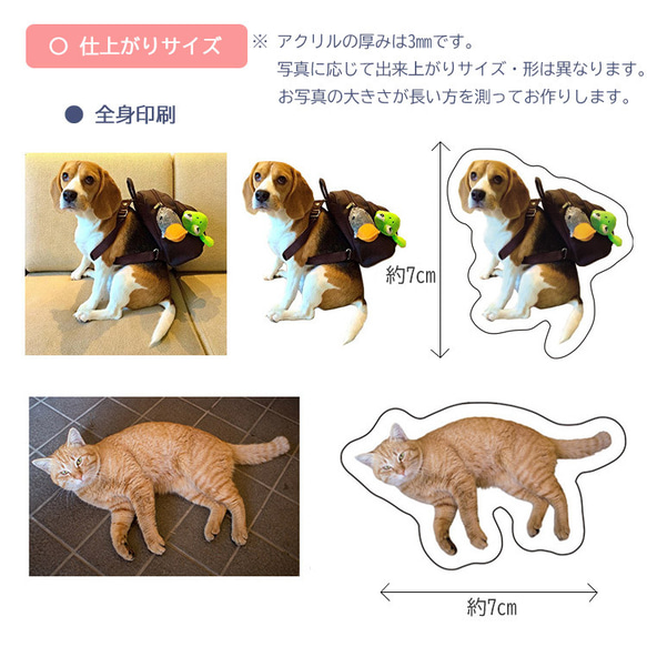 アクセサリー車両用 フォトアクリル 子供 犬 プレゼ 12枚目の画像