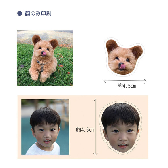 アクセサリー車両用 フォトアクリル 子供 犬 プレゼ 11枚目の画像