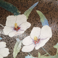 足付き深鉢　高砂芙蓉（たかさごふよう） 6枚目の画像