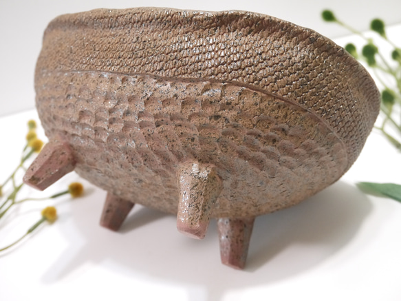 足付き深鉢　高砂芙蓉（たかさごふよう） 5枚目の画像