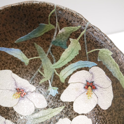 足付き深鉢　高砂芙蓉（たかさごふよう） 11枚目の画像