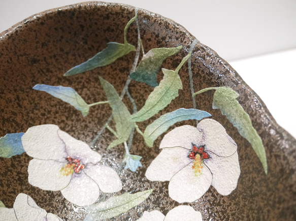 足付き深鉢　高砂芙蓉（たかさごふよう） 11枚目の画像