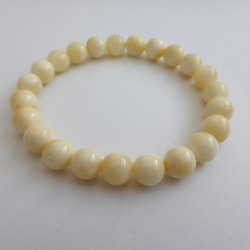 マッコウクジラ歯 ブレスレット 15cm ブレスレット マテリアルマスター