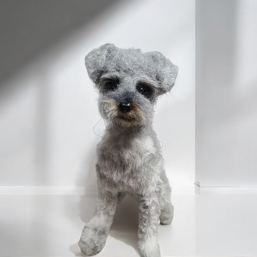 しーちきん。羊毛フェルトオーダー。 しーちきん様専用。羊毛フェルトオーダー。