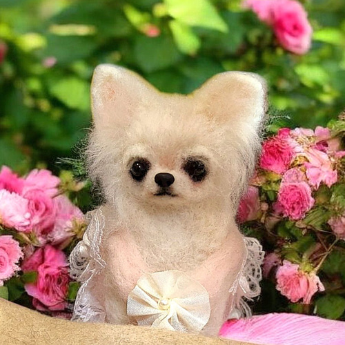 ❤羊毛フェルト うちのコオーダー❤ 羊毛フェルト シュガー