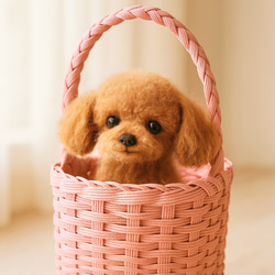 cocoaさま　羊毛フェルト　オーダー品 ❤羊毛フェルト うちのコオーダー❤ 羊毛フェルト シュガー