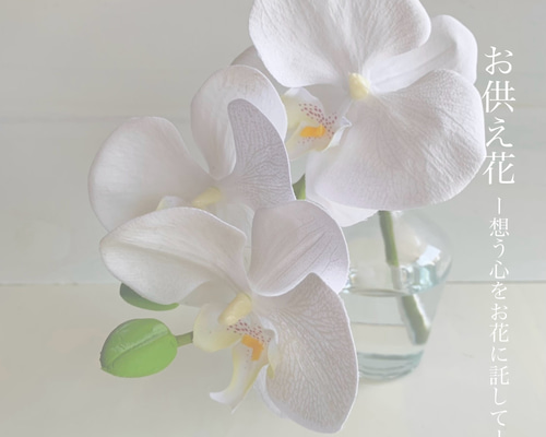 OPAM-001 お供え用/胡蝶蘭のマジカルウォーター仏花/納骨堂や狭い