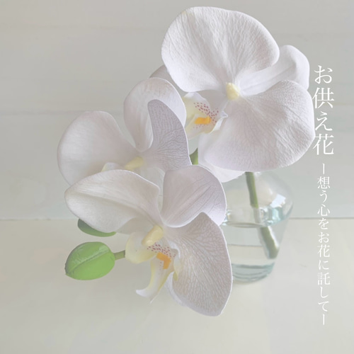 オーダー仏花 楽天市場】プリザーブドフラワー 仏花 2.5寸花立用 高さ約10cm（1個