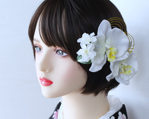 52262753e072d8e637ec5d1a1777fa