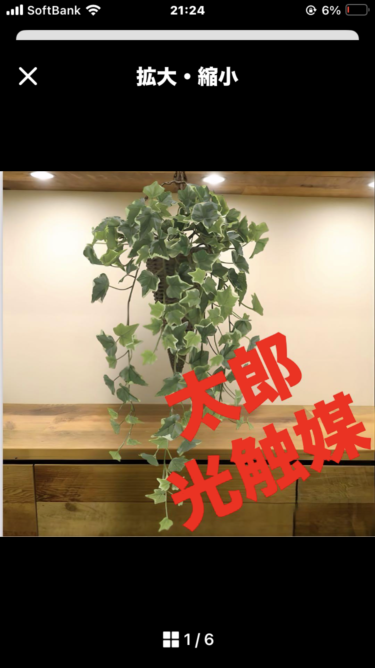 光触媒　観葉植物　ウォールグリーン　壁掛け　ウオールタイプアイビー45 楽天市場】ウォールグリーン 光触媒 観葉植物 大型 フェイク
