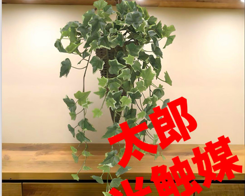 0c9b71ff865f7ea0a1beff80aa0e7f