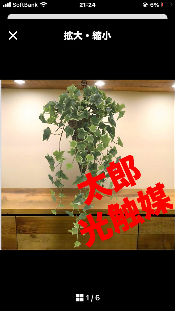 光触媒 人工観葉植物 ウォールグリーン フェイクグリーン 壁掛け斑入り