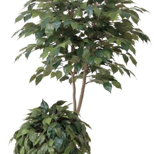 光触媒 人工観葉植物 フェイクグリーン ベンジャミンダブルフェイス植 