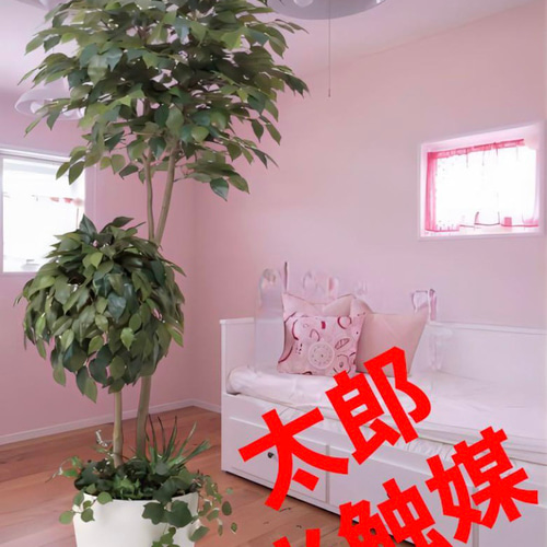 光触媒 人工観葉植物 フェイクグリーン デザインベンジャミン1.8