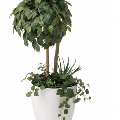 光触媒 人工観葉植物 フェイクグリーン ベンジャミンダブルフェイス植 
