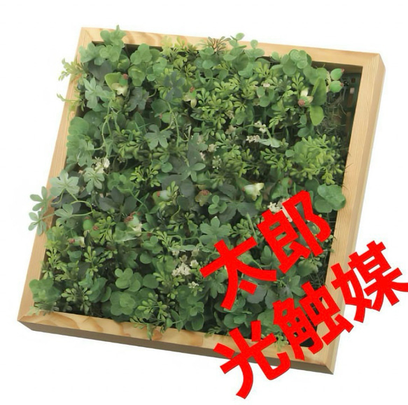 光触媒 人工観葉植物 ウォールグリーン フェイクグリーン 壁掛け